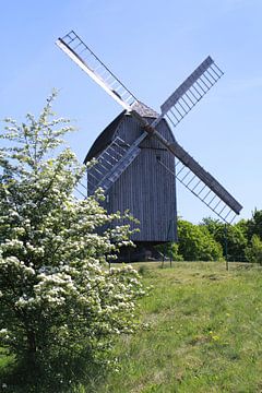 Moulin à vent sur Karina Baumgart