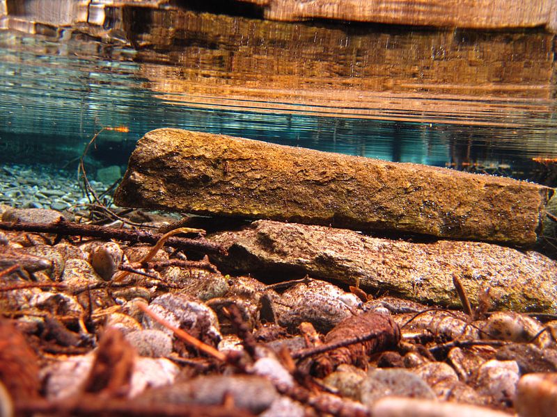 Steen onderwater von Fenneke Visscher