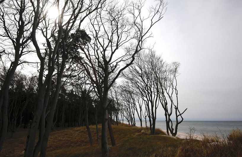Baltic Sea by Thomas Jäger