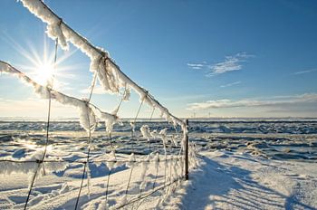 Winter am Dockkoog bei Husum