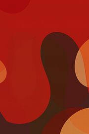 Bold Shapes in 70s style by Dina Dankers