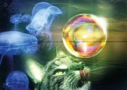 De droom van een kat van Andreas Schulte thumbnail