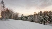 winters ochtendrood