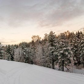 winters ochtendrood sur Jacco Bezuijen