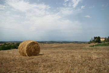 La balle de foin, Italie, Toscane sur M.petersen I Fotografie