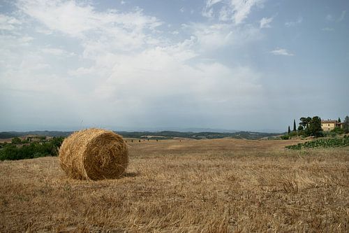 The Hay Bale, Italy, Tuscany