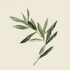 Tender olive branch by Poster Art Shop