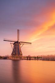 Welterbe Kinderdijk von Lisa Antoinette Photography