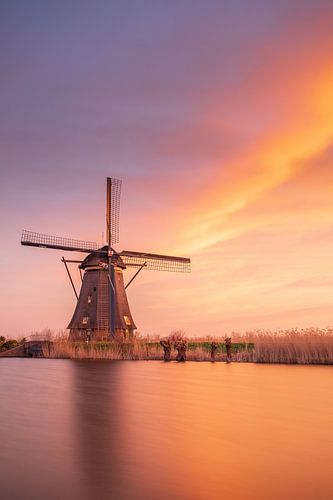 Wereld erfgoed Kinderdijk