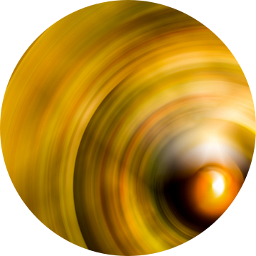 Concentrische cirkels van Günter Albers