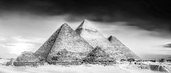 Egypt - the pyramids of Giza in black and white