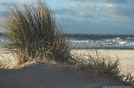 Dünengras vor der Kulisse einer stürmischen Nordsee von Anne Zwagers Miniaturansicht