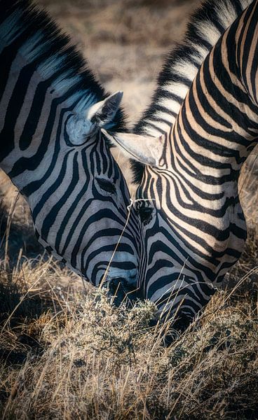 The same blade of grass by Loris Photography
