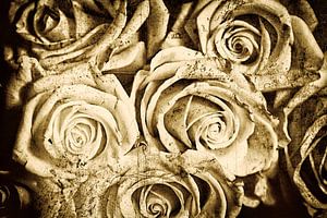 Vintage Roses - Ancient Sepia