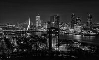 Skyline Rotterdam 2014 in Zwart-Wit van Mark De Rooij thumbnail