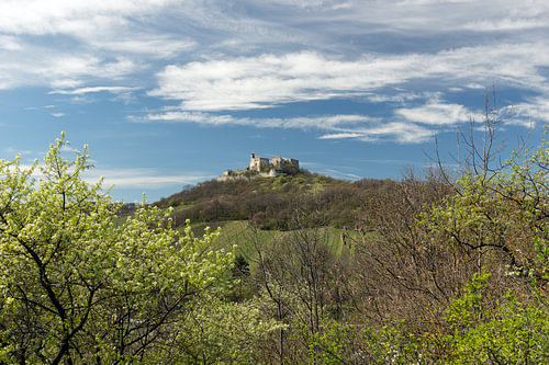 Idyllische Frühlingslandschaft mit Schloss Falkenstein in Österreich für das Wohnzimmer