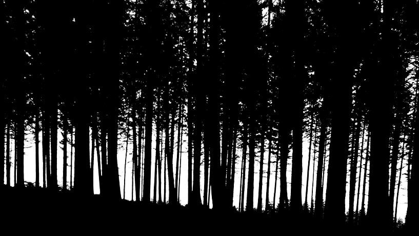 Barcode von Lex Schulte