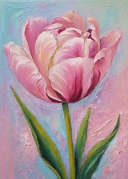 Tulp Angelique van MIROKKU