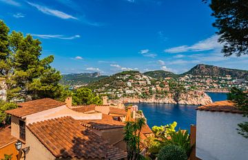 Küstenabschnitt von Port de Andratx auf der Insel Mallorca, Spanien von Alex Winter