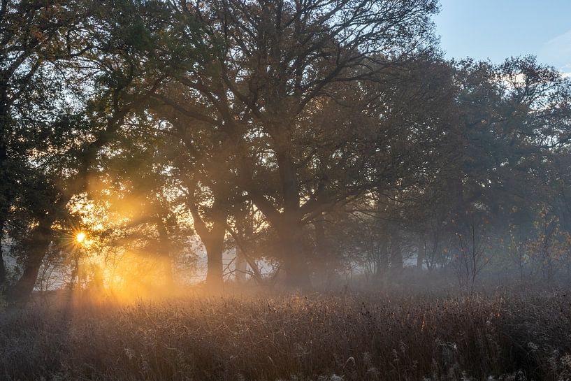 Zonsopkomst in Westerwolde van Johan Mooibroek
