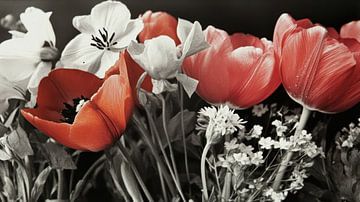 Anjers en tulpen van Franka Poulain