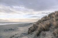 Dünenlandschaft mit Blick auf das Meer