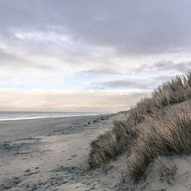 Duinlandschap met uitzicht op de zee van Dixy Kracht