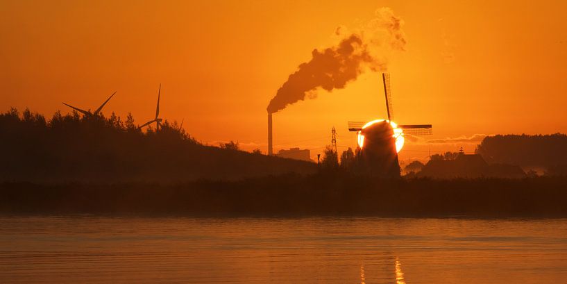Gouden opkomst van Harro Jansz