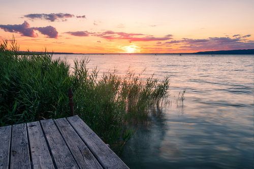 Sunset through the reeds on the southern shore of Lake Balaton