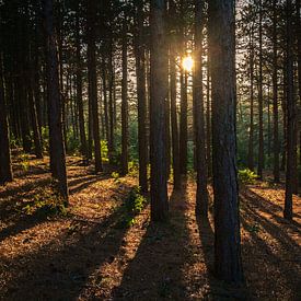 zonsondergang van Marco Nedermeijer