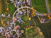 Village 't Goy shrouded in autumn colours