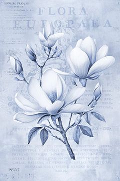 Magnolia Spring Romance Pastel Blue