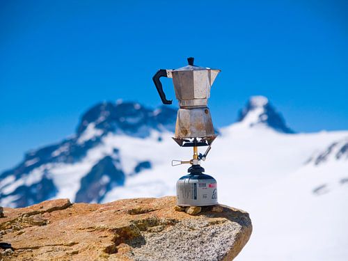 Coffee in the Andes