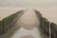 Paalhoofden in de mist