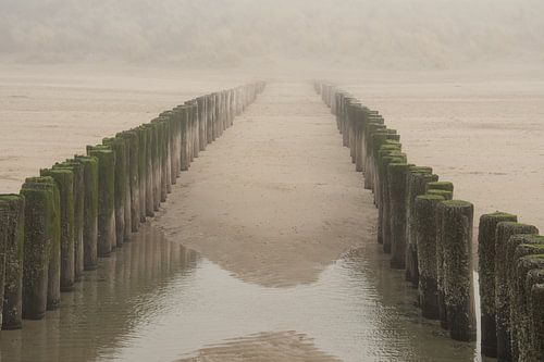 Paalhoofden in de mist