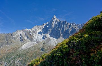 Aiguille du Dru van Fokelien Broekstra