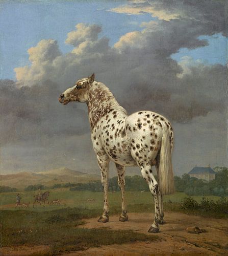 Het bonte paard, Paulus Potter