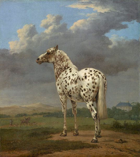 The "Piebald" Horse, Paulus Potter by Masterful Masters
