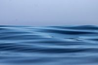 Ocean