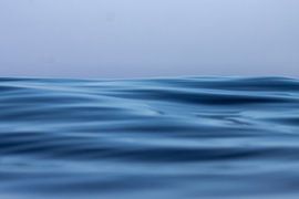 Ocean by Debby Bierman