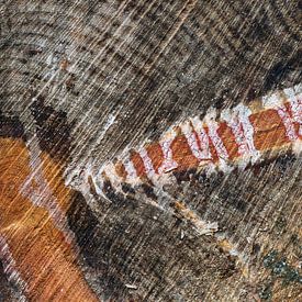 Er om heen draaien   natuurlijke abstractiectiectie in hout.. van Eugene Winthagen