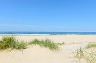 Dünen am Strand mit Strandhafer während eines schönen Sommertages am Nordseestrand von Sjoerd van der Wal Fotografie Miniaturansicht