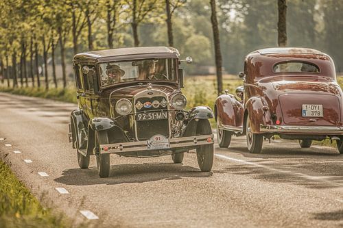 eine Furt in Friesland