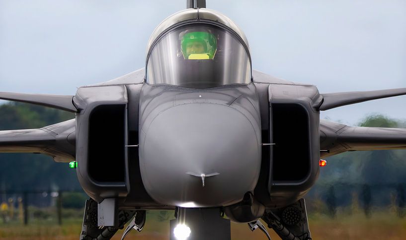 Saab JAS39 Gripen ist bereit für seine Vorführung bei den Air Force Days 2019 von Stefano Scoop