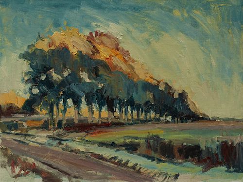 Laatste zonnestralen