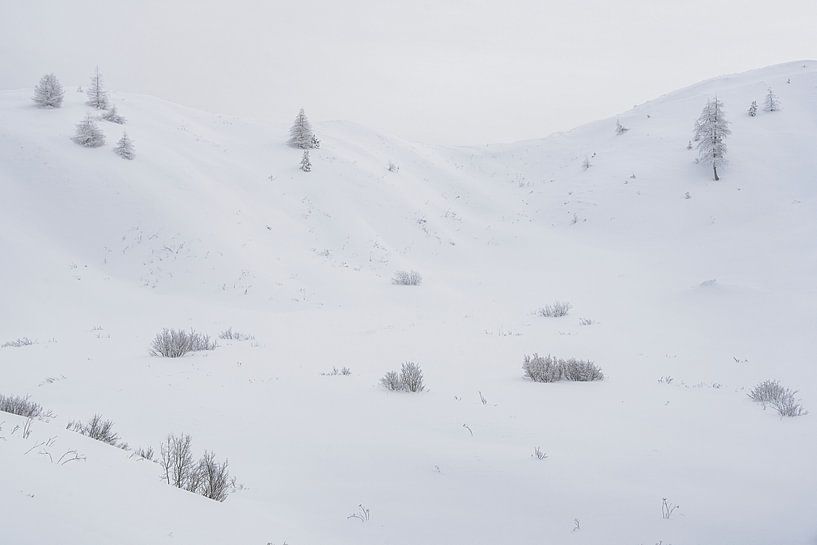 White World III by Rainer Mirau