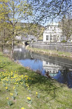 Frühlingsblüte mit Spiegelung in der Saale bei Bad Kissingen