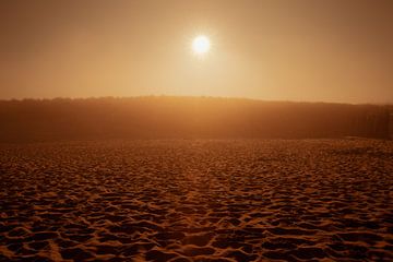 Soleil d'automne dans les dunes de Noordwijk sur Yanuschka Fotografie | Noordwijk