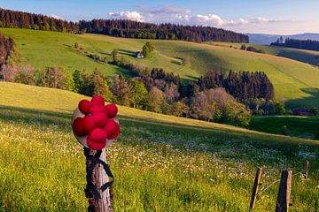 Schwarzwaldlandschaft mit Original Bollenhut von Jürgen Wiesler