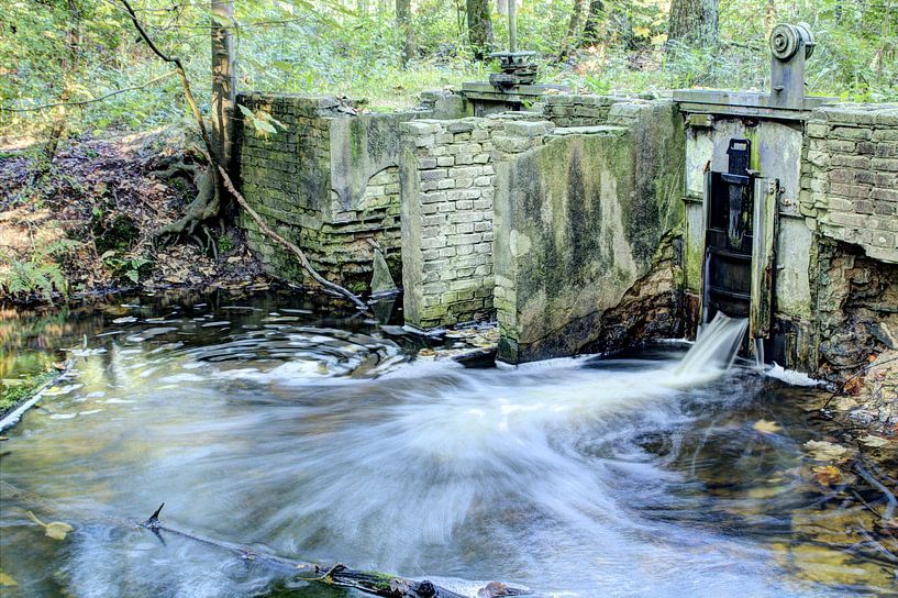 Waterloopbos  van Frouwkje Fotografie